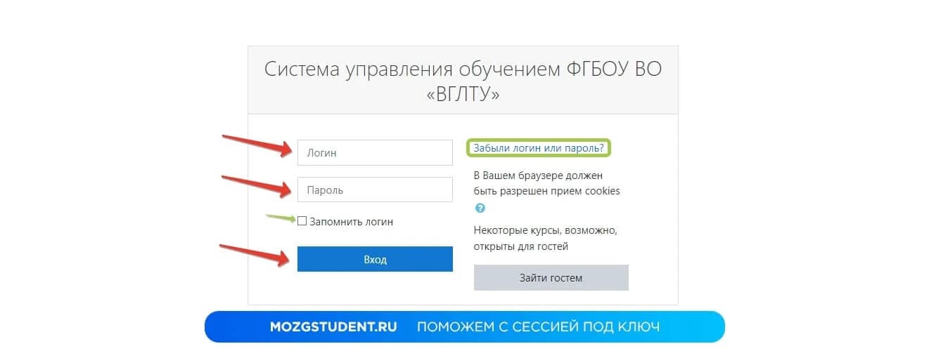 ЭИОС ВГЛТУ: вход в систему и процесс обучения