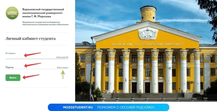 СДО ВГЛТУ: принцип работы личного кабинета
